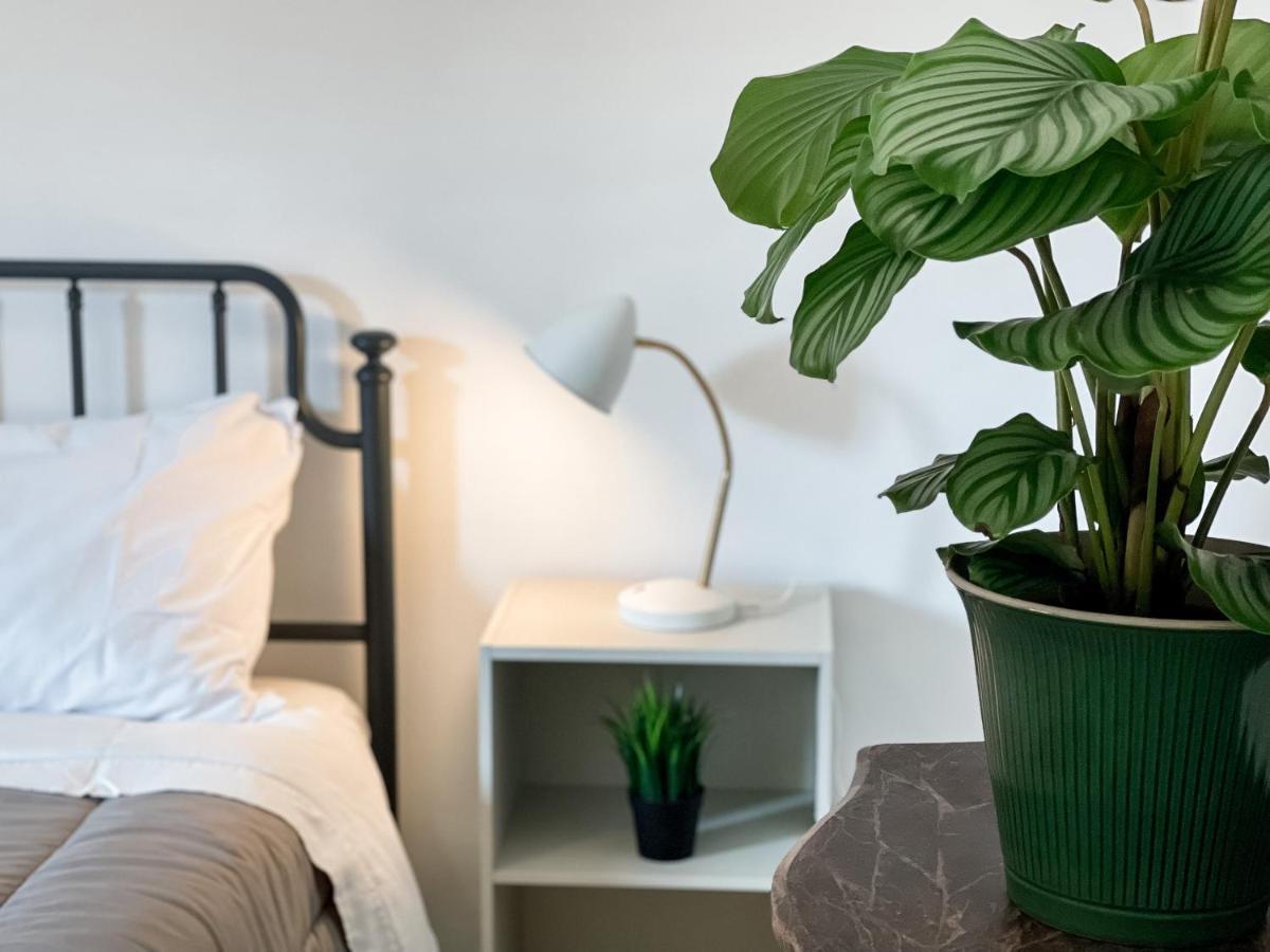 Sestio House Apartment Roma Ngoại thất bức ảnh